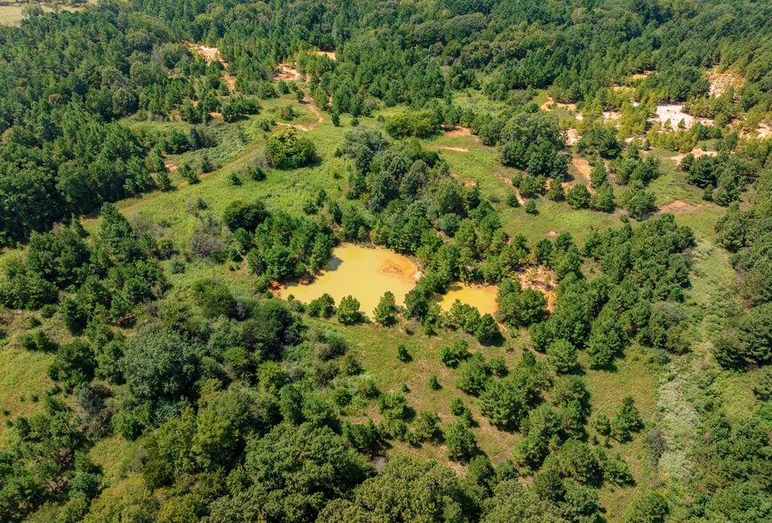 More Photos Of TBD County Road 166, Tyler Land For Sale