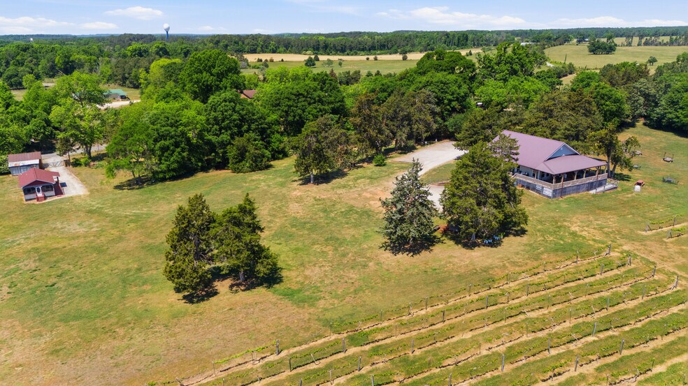 More Photos Of 1650 Dusty Rd, Newberry Winery Vineyard For Sale