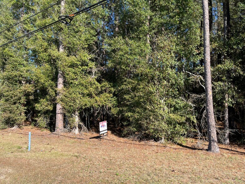 More Photos Of 0 Baxley Rd, Middleburg Land For Sale