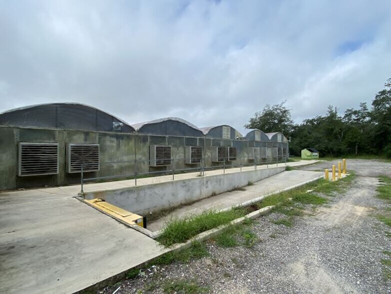 More Photos Of 17936 W Phil C Peters Rd, Winter Garden Garden Center For Sale