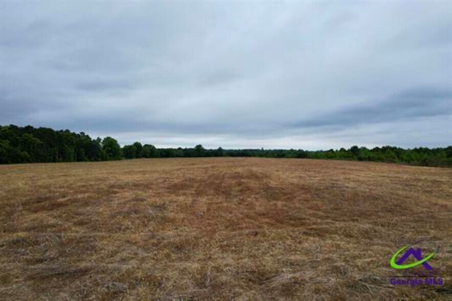 More Photos Of Chester Alamo Hwy, Chester Land For Sale