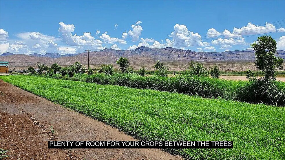 More Photos Of 13915 US 70, Fort Thomas Land For Sale