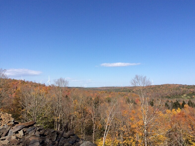 More Photos Of 2332 Old Rte 17, Windsor Township Land For Sale