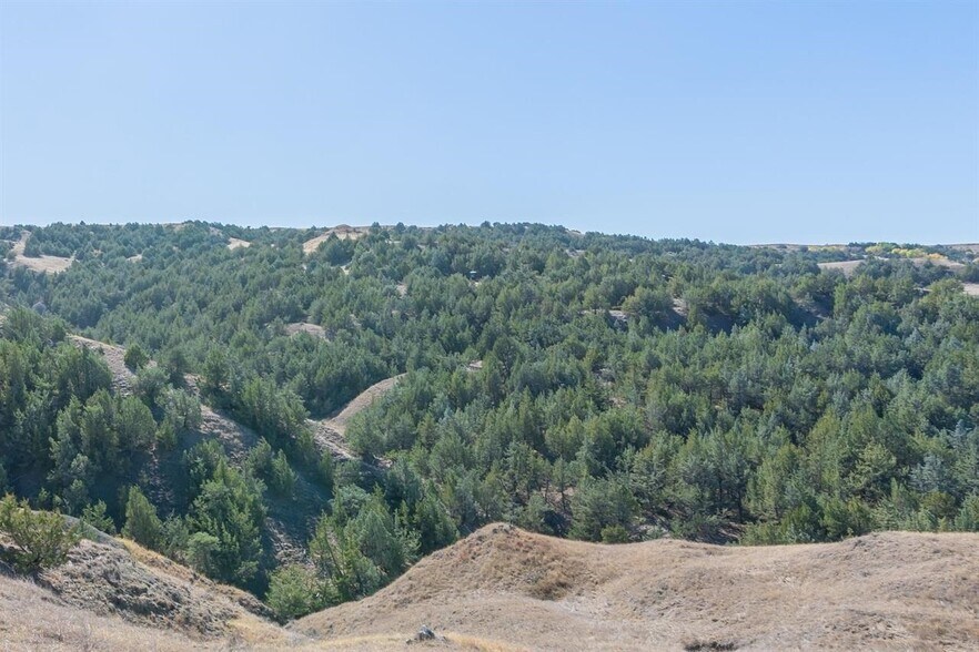 More Photos Of 21627 Hardingrove Rd, Milesville Land For Sale