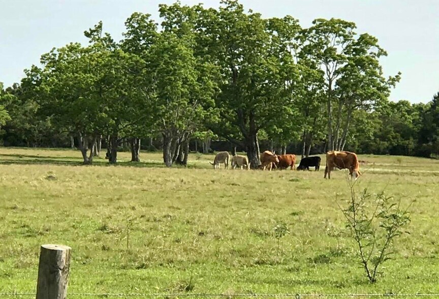 More Photos Of TBD Eagle Rd, Anahuac Land For Sale