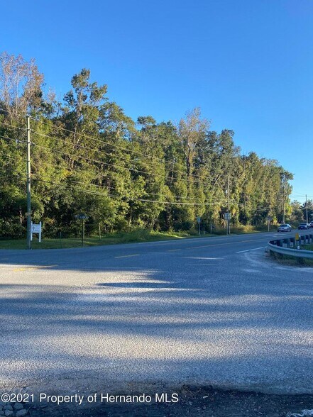 More Photos Of Ponce De Leon Ave, Brooksville Land For Sale