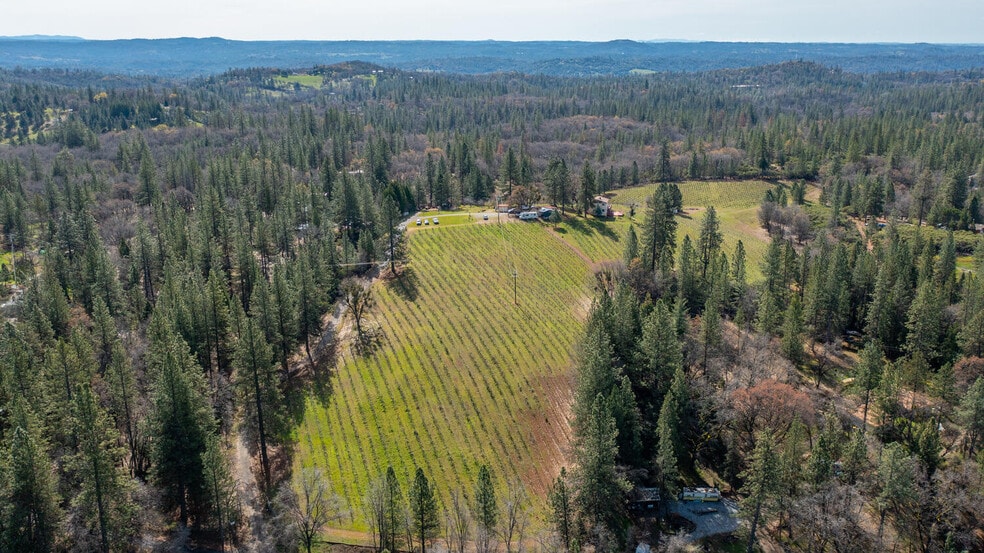 More Photos Of 4771 Greenhills Rd, Placerville Winery Vineyard For Sale
