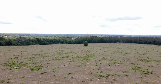 More Photos Of 0 Parrish Grove Rd, Dade City Land For Sale