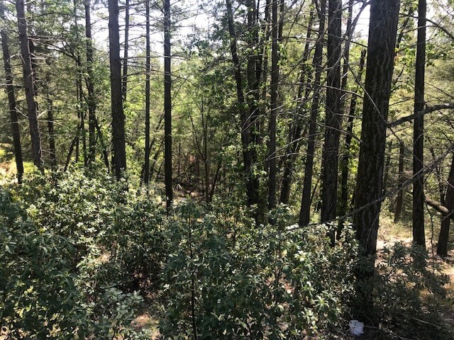 More Photos Of Canyon Creek Drive -1 @ Canyon Way, Colfax Land For Sale