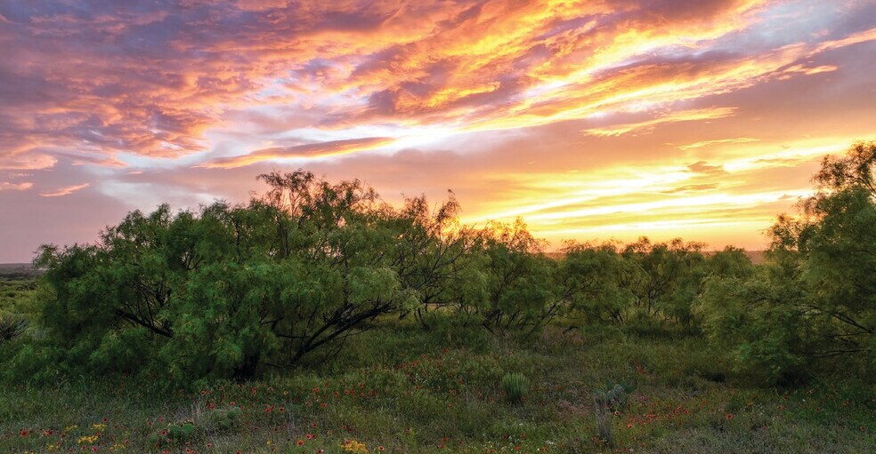 More Photos Of 1510 US Highway 83, Childress Land For Sale