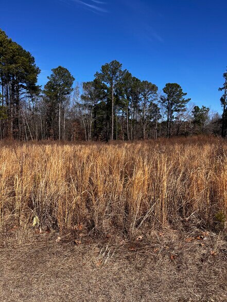 More Photos Of 1284 NC 50, Benson Land For Sale