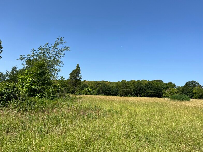 More Photos Of 16326 State Highway 155 S, Tyler Land For Sale