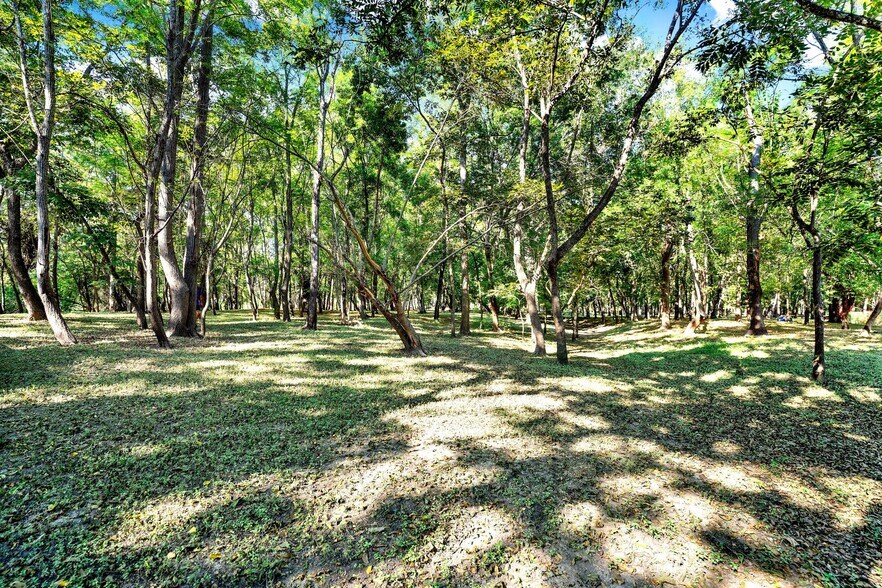 More Photos Of 1877 County Road 4713, La Coste Land For Sale