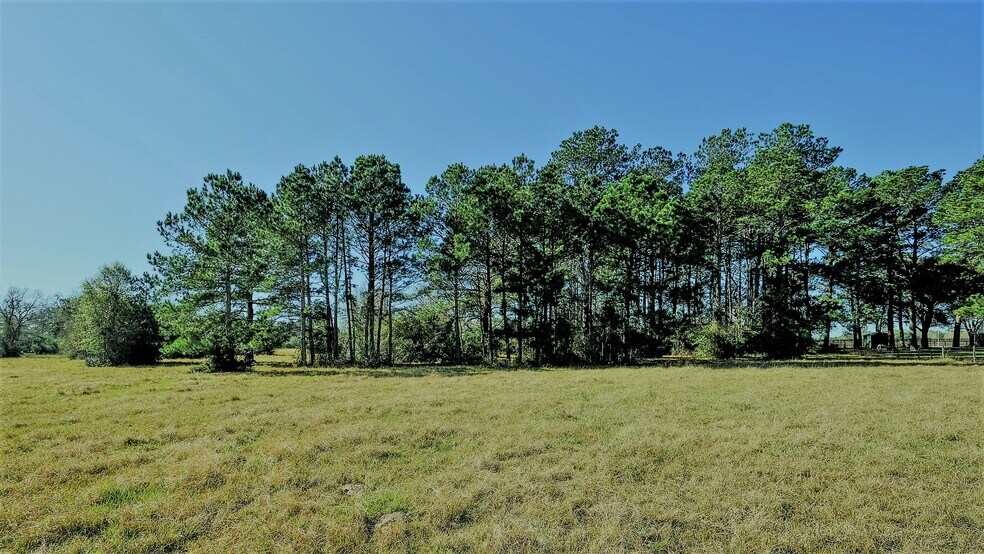 More Photos Of 26266 Fields Store Rd., Waller Land For Sale