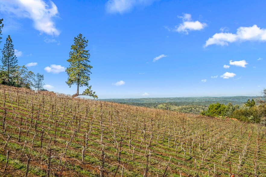 More Photos Of 6781 Tower, Somerset Winery Vineyard For Sale