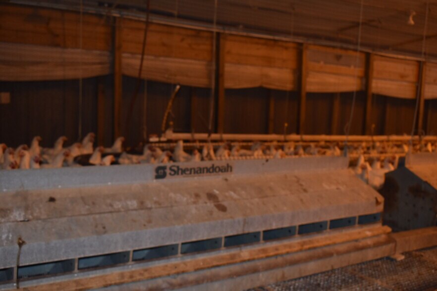 More Photos Of 441 Weaver Rd, Moultrie Land For Sale