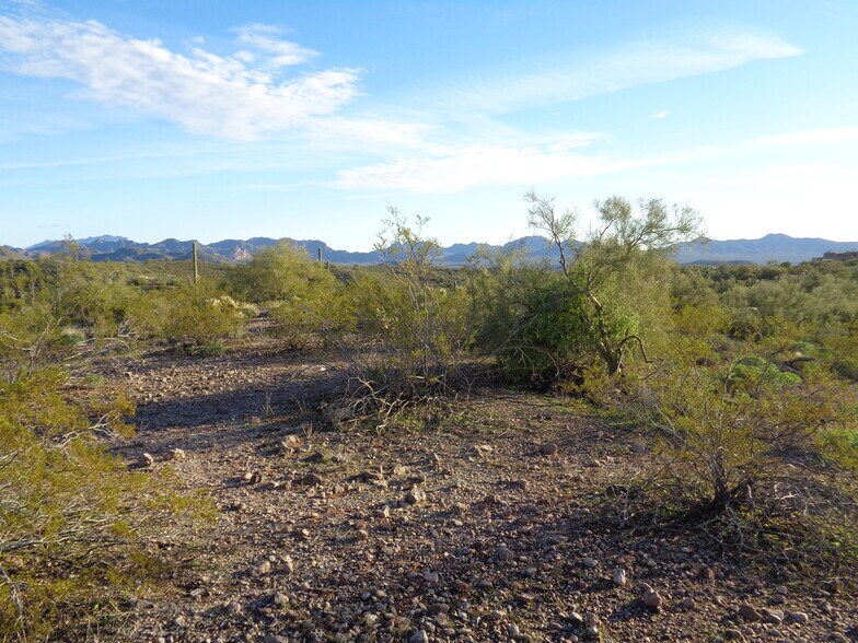 More Photos Of 13801 N Tierra Del Oro, Fort Mcdowell Land For Sale