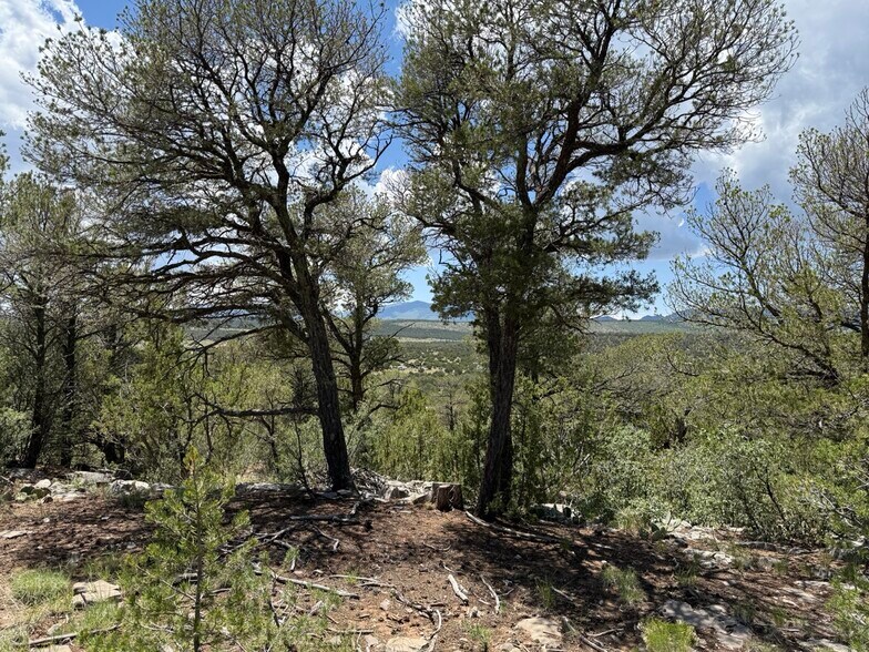More Photos Of 44 Forest 321 Rd, Estancia Land For Sale