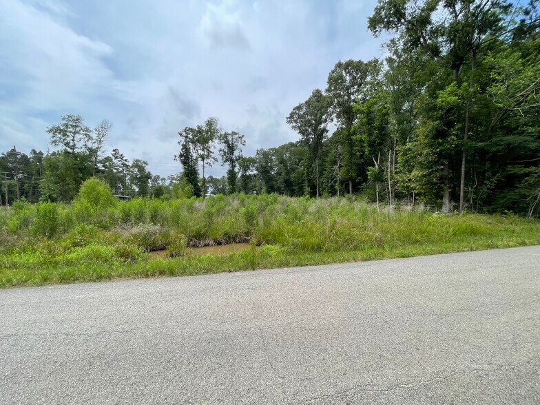 More Photos Of 19094 Galaxy Blvd, New Caney Land For Sale