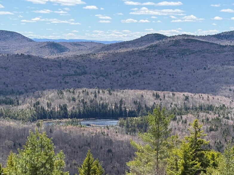 More Photos Of 1594 Elk Pond rd, Long Lake Land For Sale