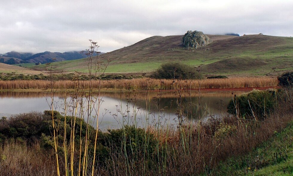 More Photos Of Road to the Ranches, Nicasio Land For Sale