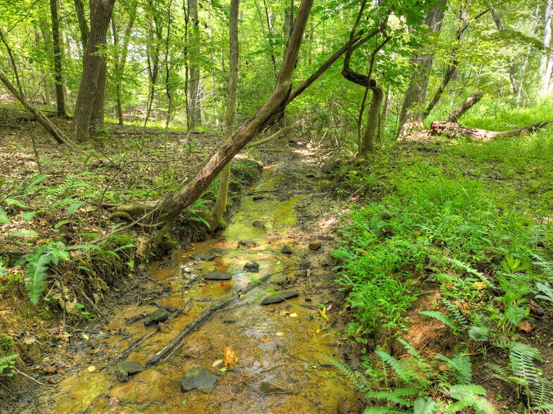 More Photos Of 77 Alpine Way, Blairsville Hotel For Sale