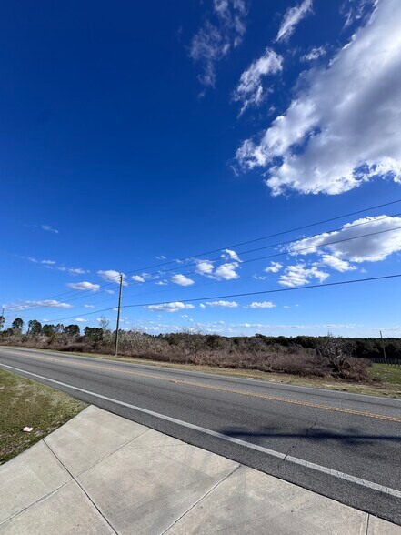 More Photos Of 16982 SE Highway 42, Weirsdale Land For Sale
