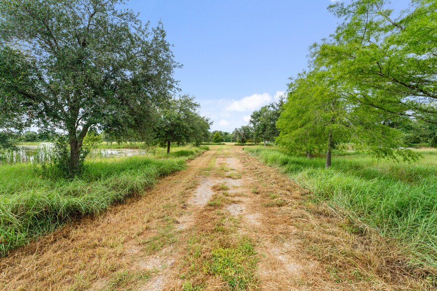 More Photos Of 23111 FM 1462 Rd, Damon Land For Sale