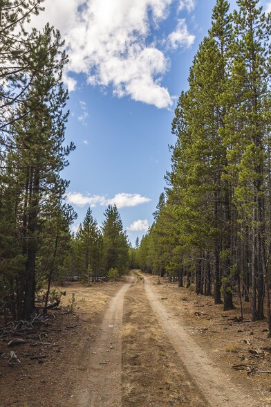 More Photos Of US Forest Service Rd, Silver Lake Land For Sale