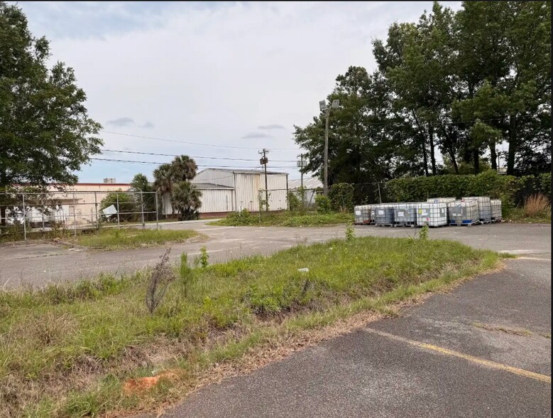 More Photos Of , Savannah Unknown For Sale