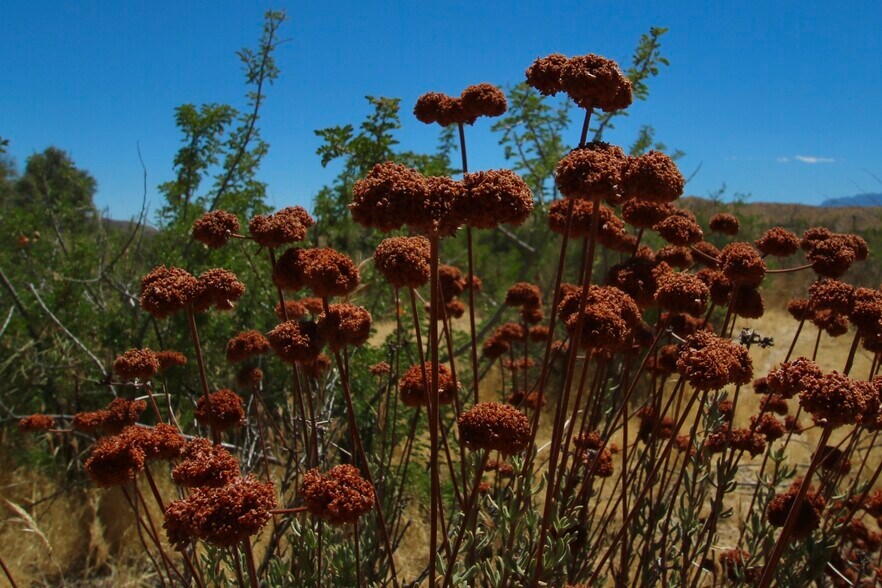 More Photos Of 0 Pioneer Rd, Morongo Valley Land For Sale