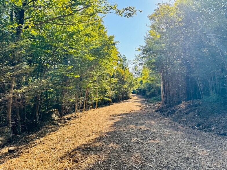 More Photos Of 11 Corfu Road, Elka Park Land For Sale