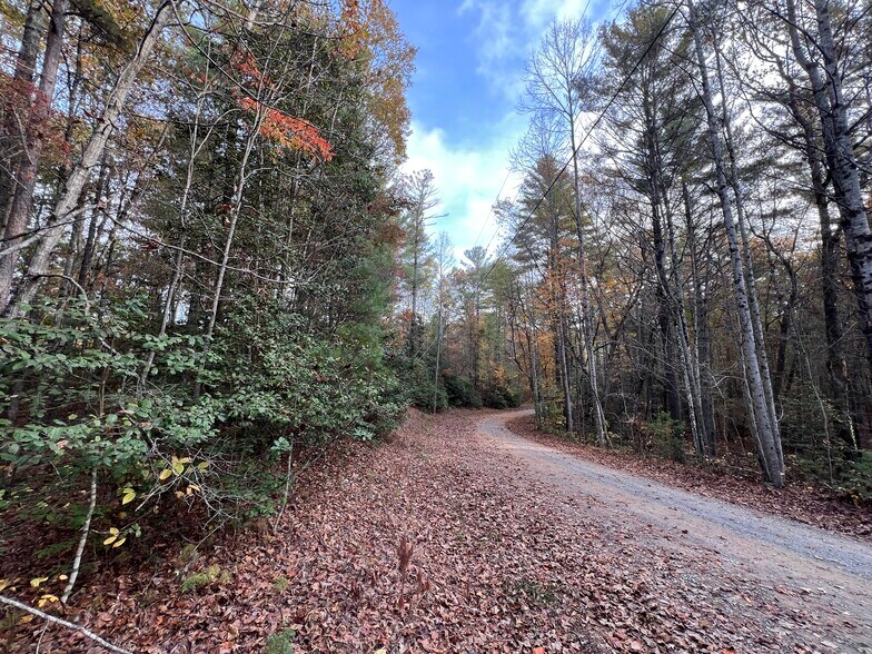 More Photos Of Whitecliff Drive, Ellijay Land For Sale
