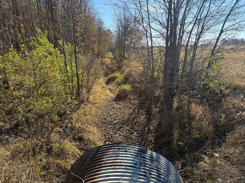 More Photos Of 4305 PLEASANT CENTER Rd, Yoder Land For Sale