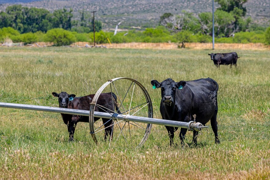 More Photos Of 5500 Four Cross Ranch Rd, Skull Valley Land For Sale