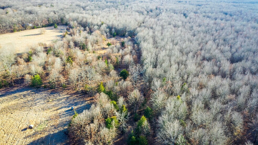 More Photos Of 1200 County 1255 rd, Detroit Land For Sale