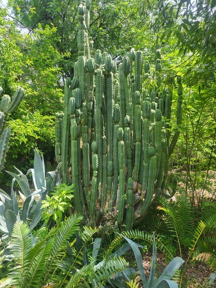 More Photos Of 18552 Erwin St, Tarzana Land For Lease