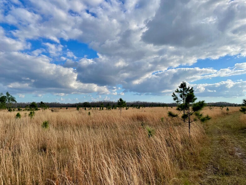 More Photos Of 19858 State Road 52, Land O' Lakes Land For Sale