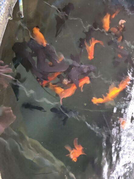 More Photos Of 38935 River Rd., Dade City Land For Sale