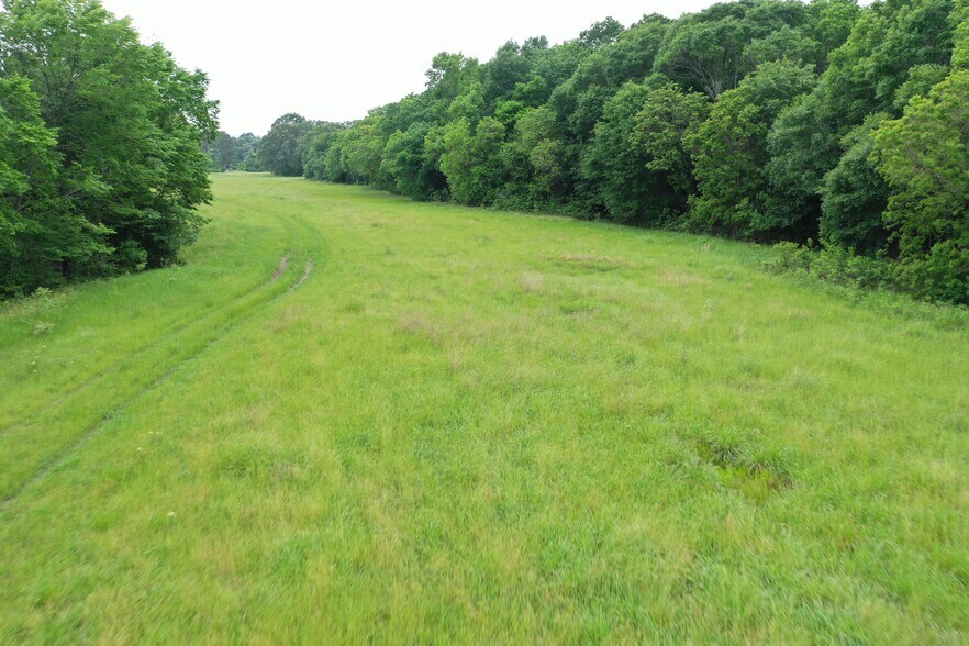 More Photos Of 849 Tara Dr, Trinity Land For Sale