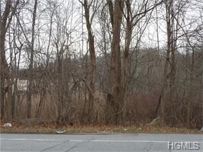 Primary Photo Of 941 Route 6, Mahopac Land For Sale