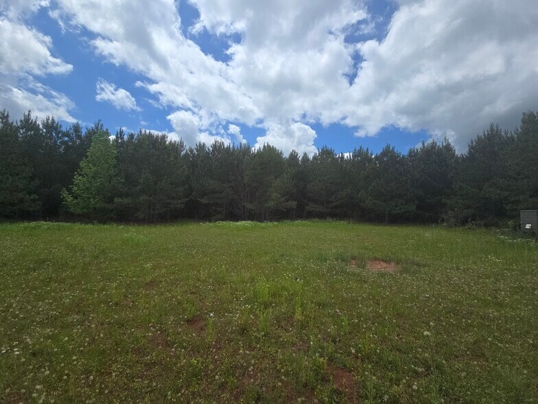 More Photos Of Davis Lake Rd @ Old Talbotton Rd, Thomaston Land For Sale