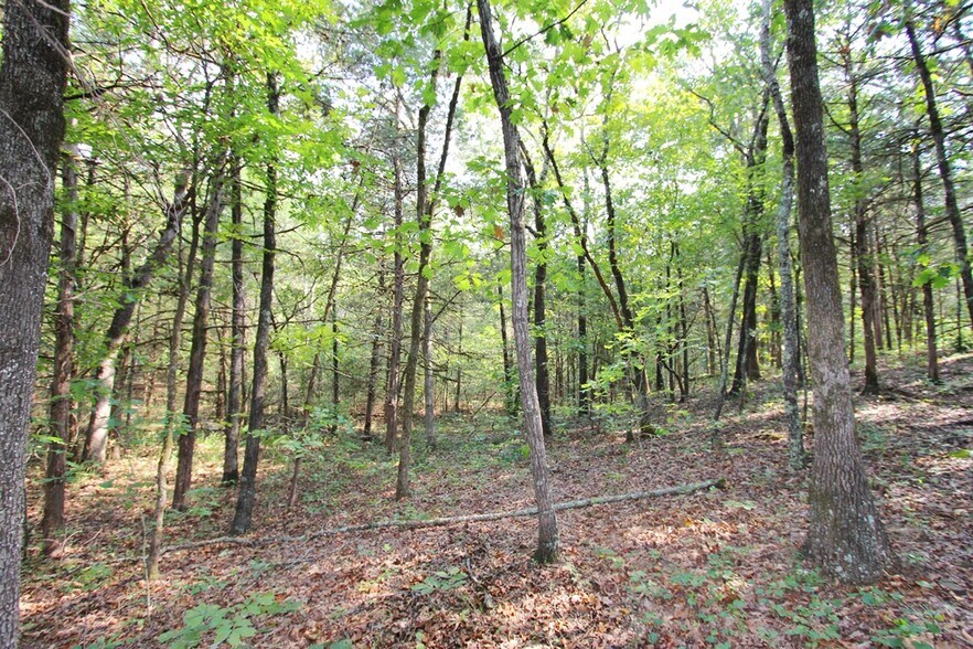 More Photos Of 226 Blythe rd, Greenbrier Land For Sale