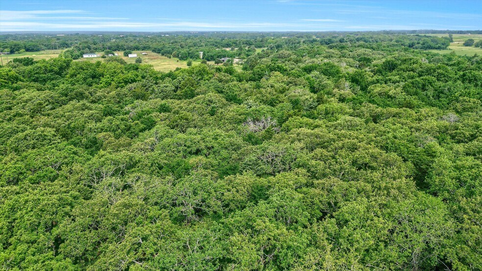 More Photos Of TBD W Line Road, Whitesboro Land For Sale