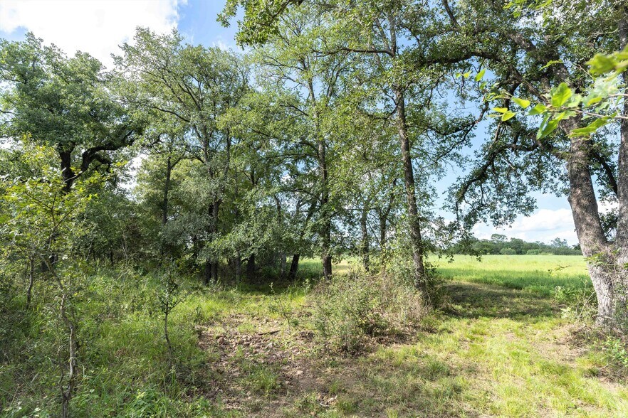 More Photos Of S Hwy 183, Lockhart Land For Sale