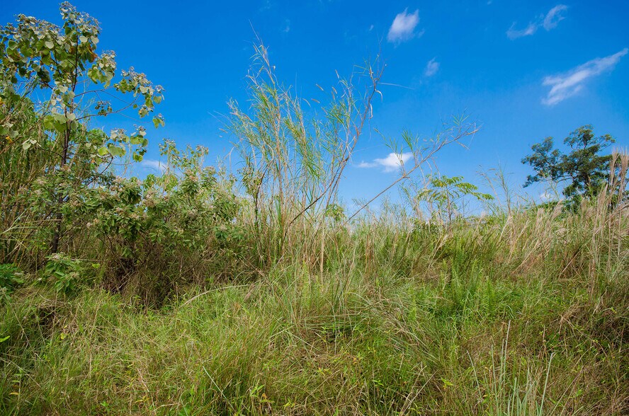 More Photos Of 15-2815 Pahoa Village, Pahoa Land For Sale