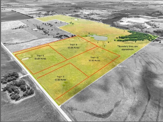 Primary Photo Of 1010 County Road 419, Taylor Land For Sale