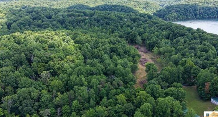More Photos Of 0 Wilderness Road, Mammoth Cave Land For Sale