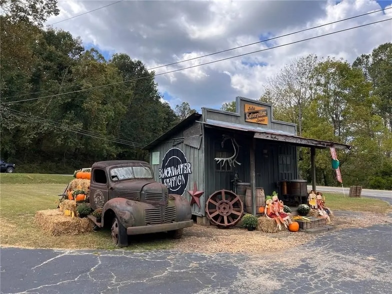 More Photos Of 4645 Georgia 136, Talking Rock Freestanding For Sale