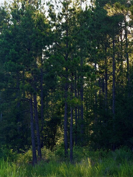 More Photos Of 00 Kennedy Rd, Winnsboro Land For Sale